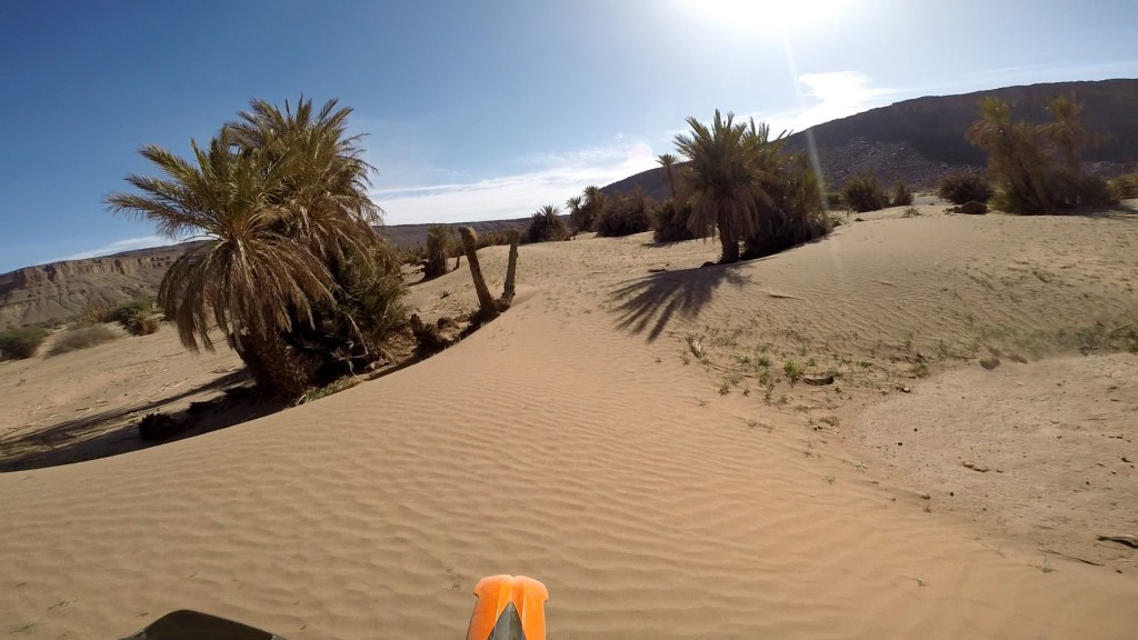 Riverbed with sand banks