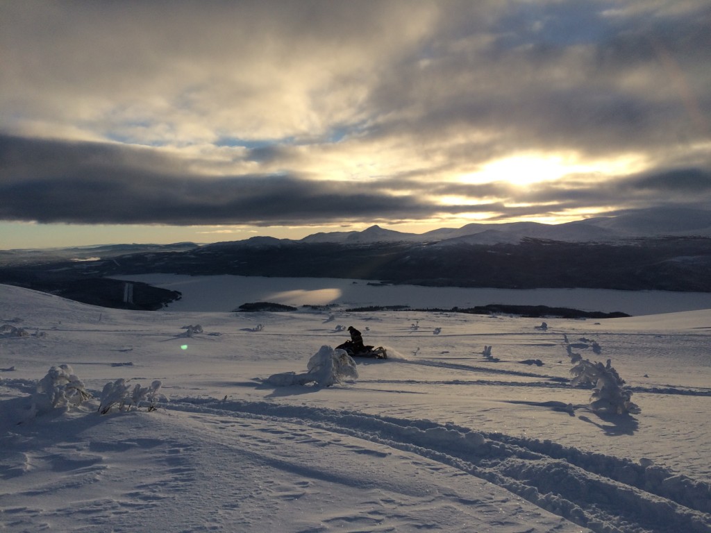 Oskar på toppen 2