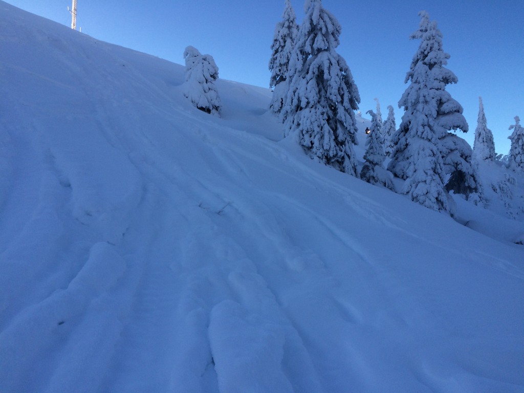 Hamnade i en rätt brant ravin