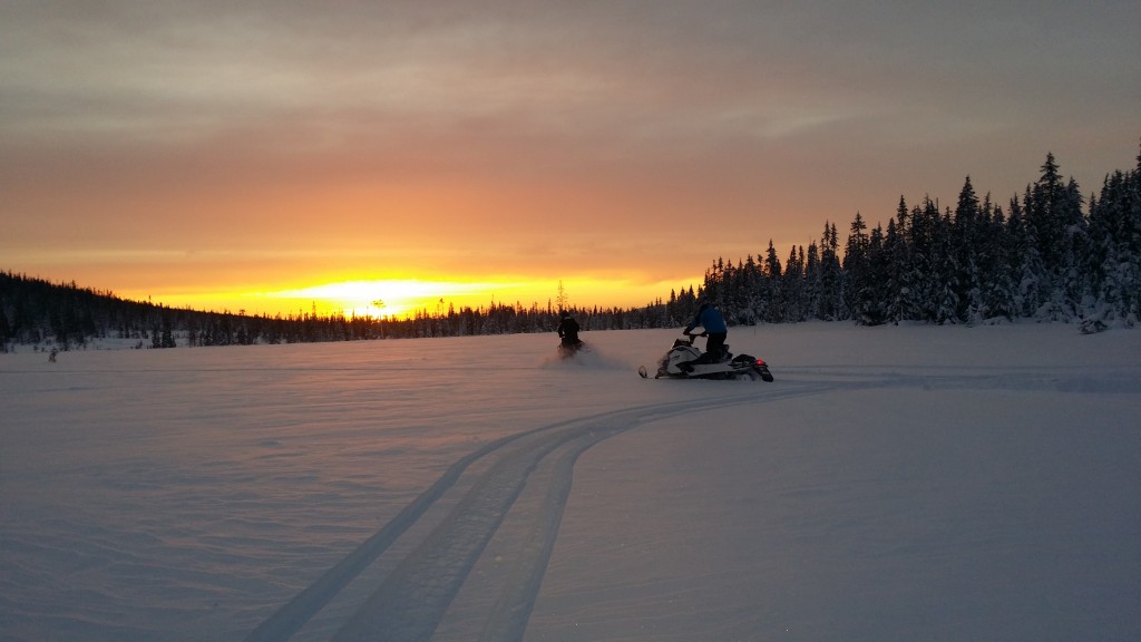 Hemåt i solnedgången..